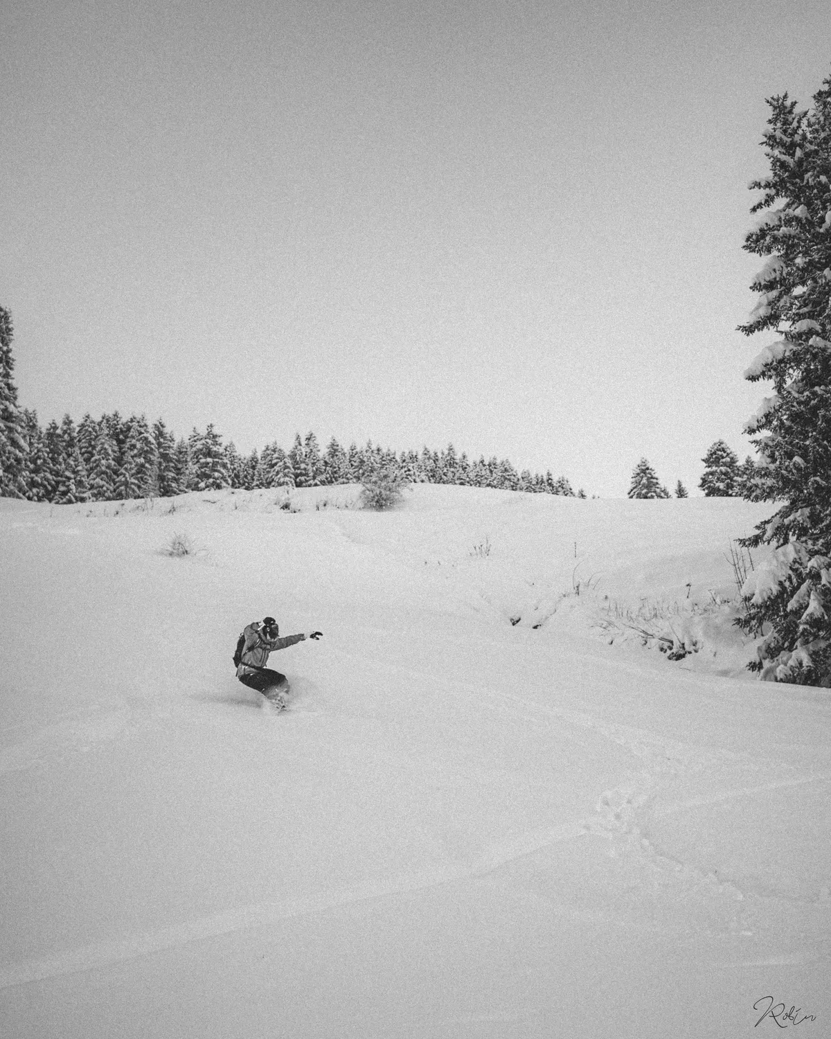 Winter Vibe — DSC00023