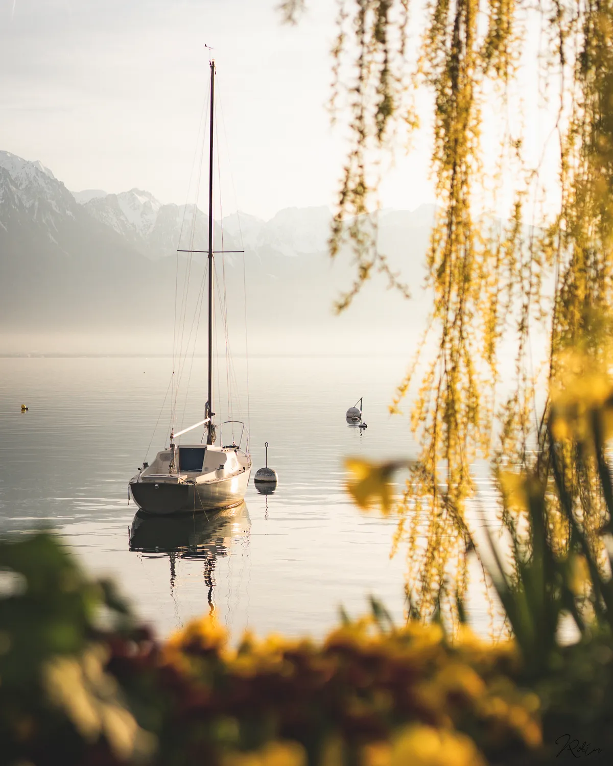 Summer Vibe — DSC01717