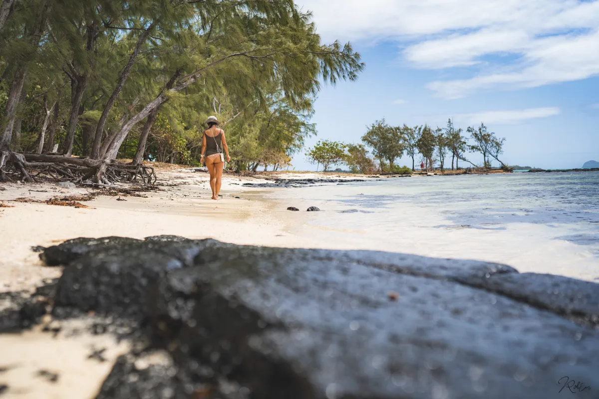 Ile Maurice — DSC02953