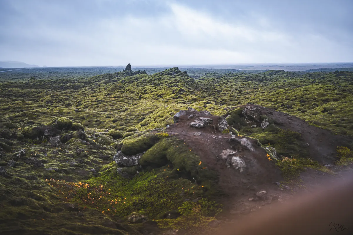 Iceland — DSC03994