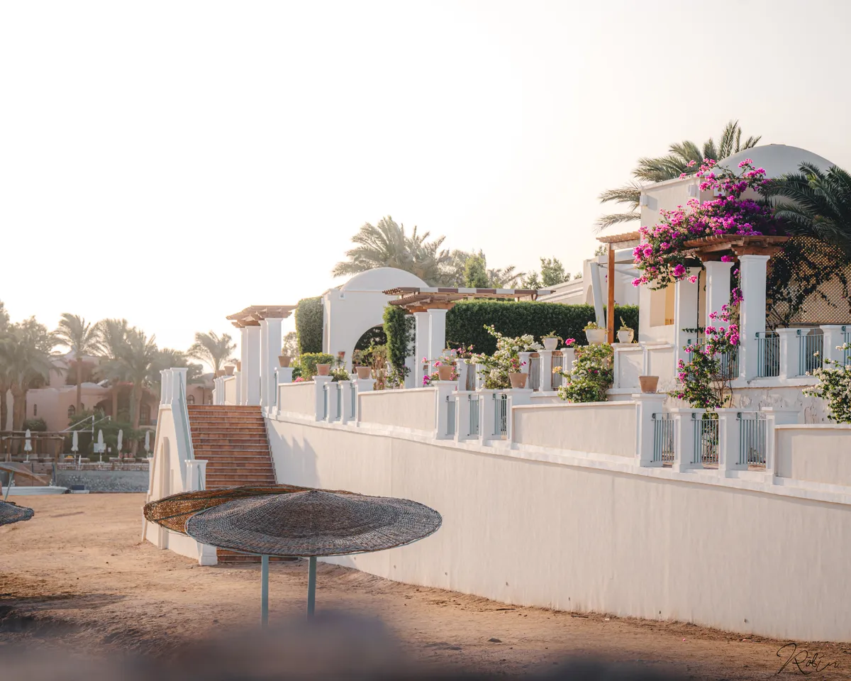 Summer Vibe — DSC04282