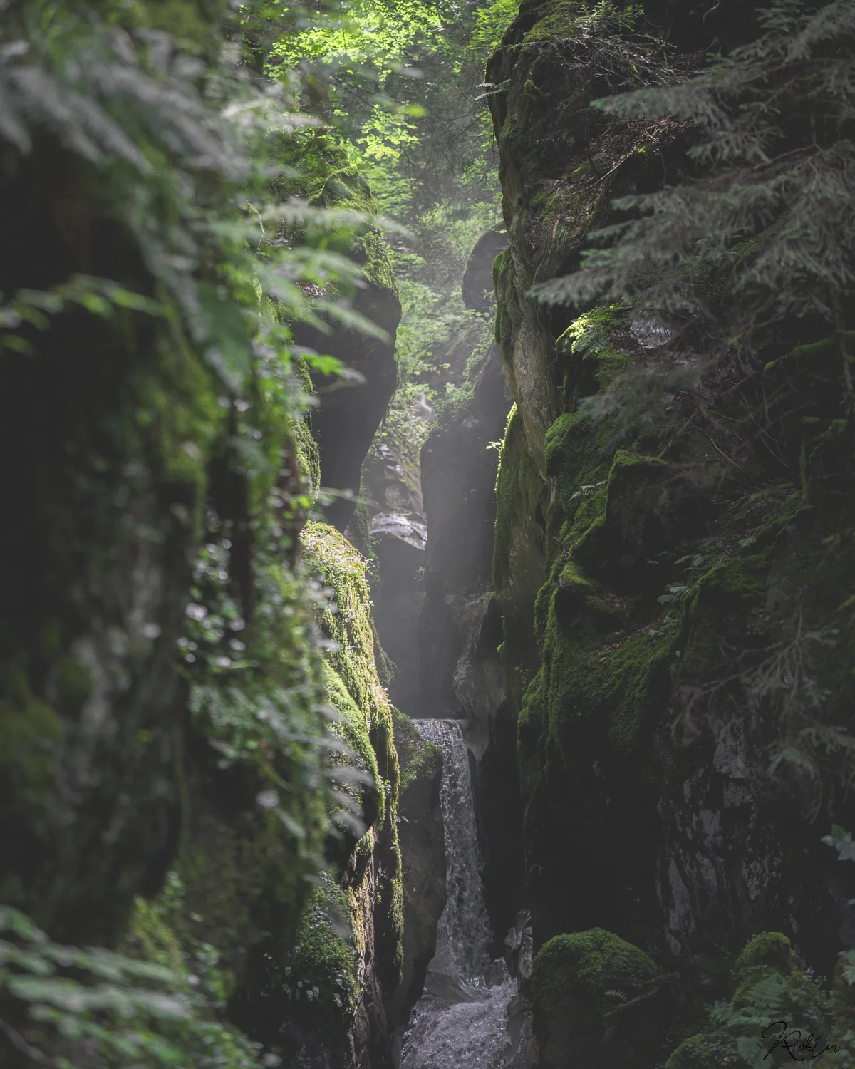 Mountain — DSC05861